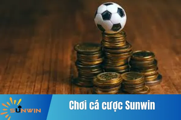 Chơi Cá Cược Sunwin