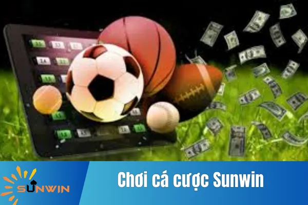 Chơi Cá Cược Sunwin